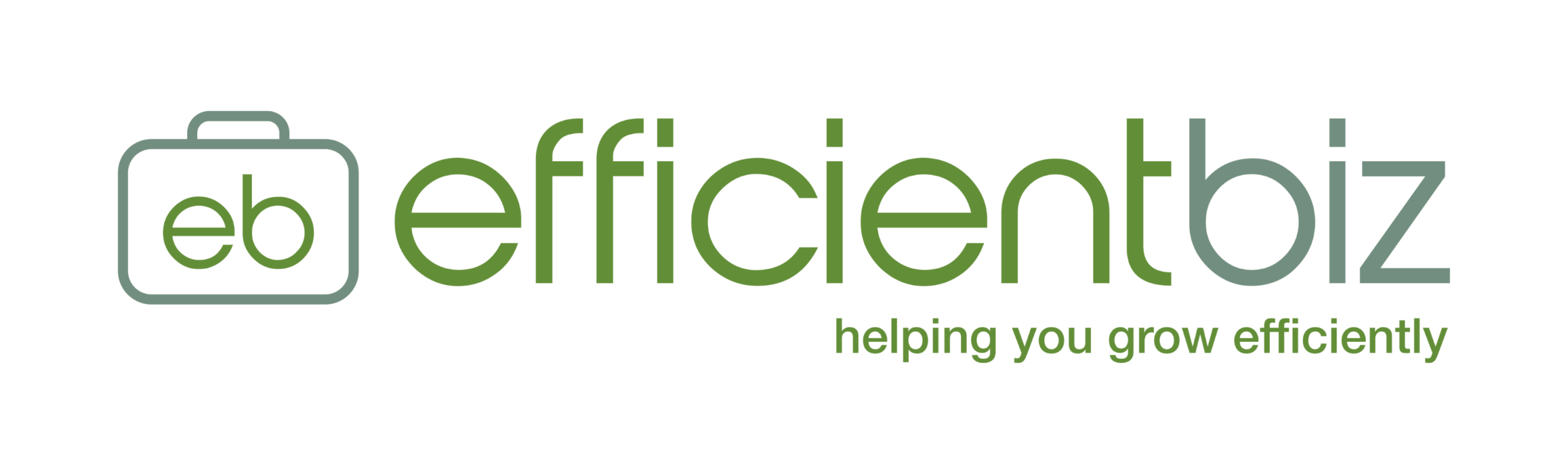 Efficient Biz Logo